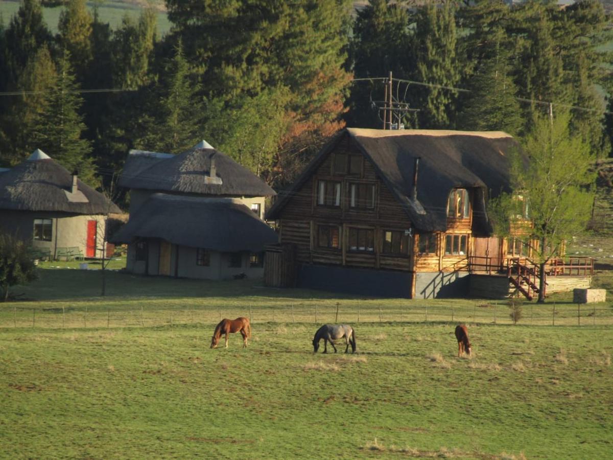 Khotso Lodge & Horse Trails Underberg Exterior photo