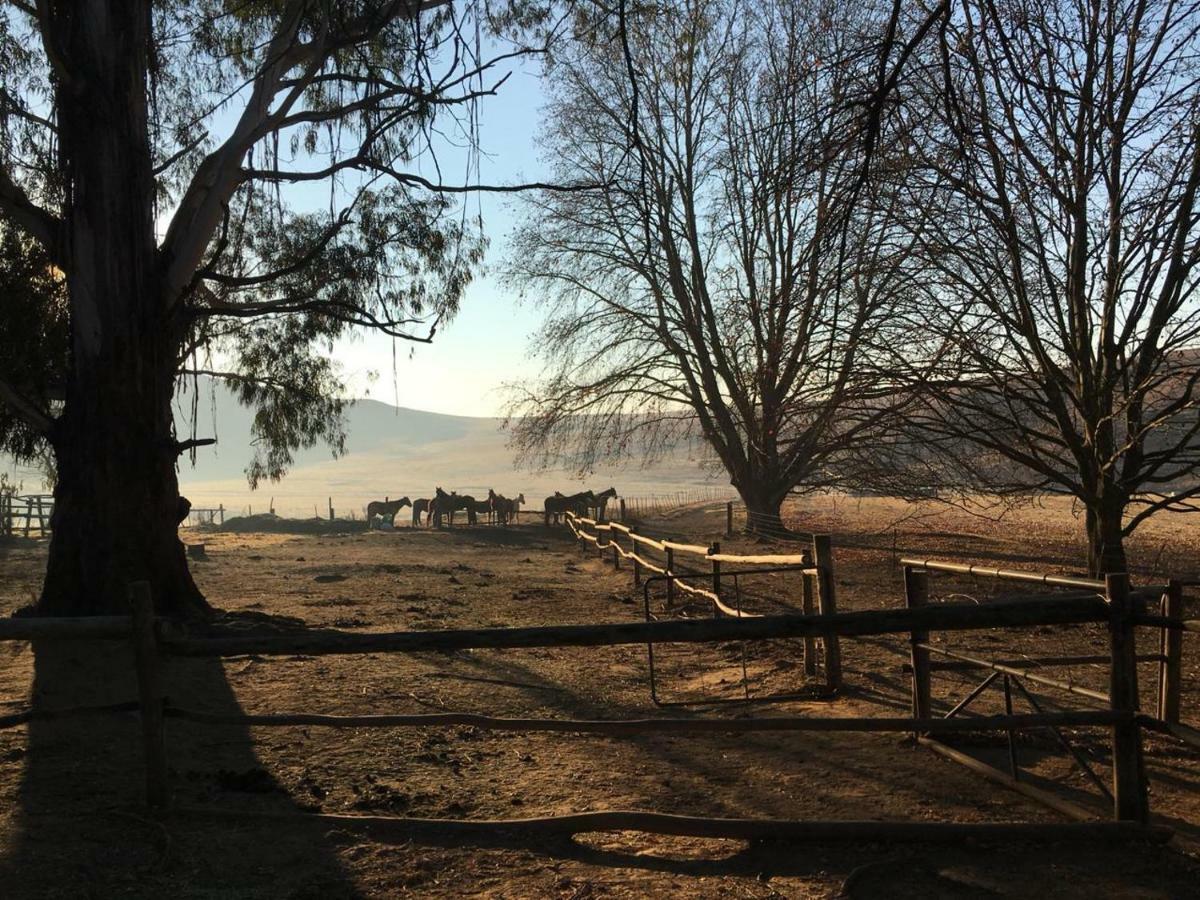 Khotso Lodge & Horse Trails Underberg Exterior photo